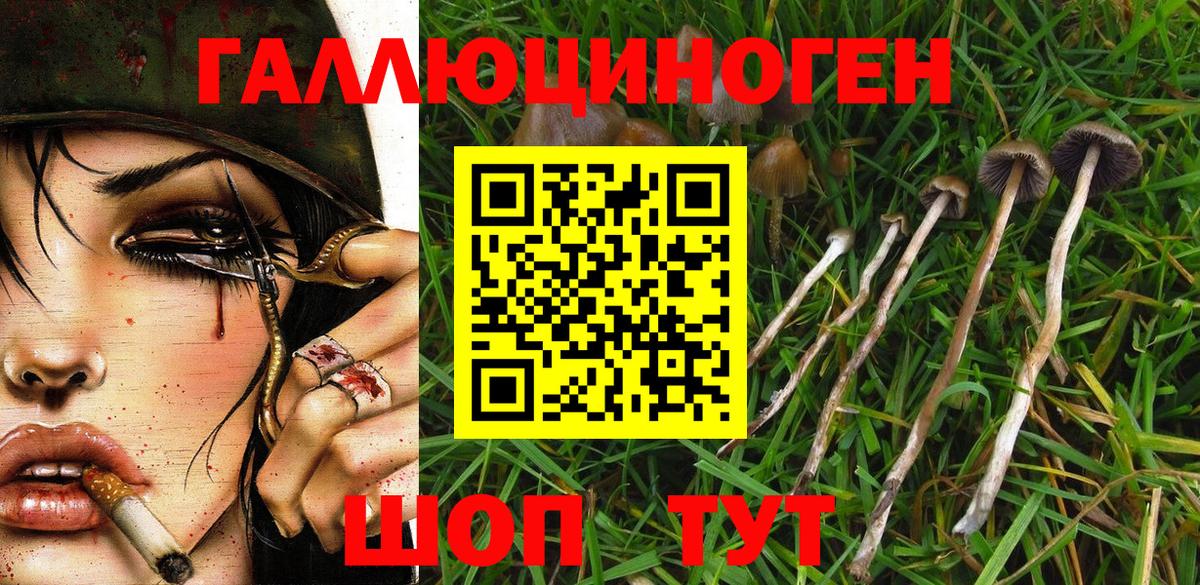 Псилоцибиновые грибы мицелий  Галлюциногенные грибы Cubensis  Вход с VPN  Волжск 