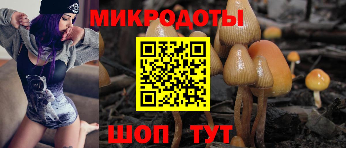 Галлюциногенные грибы прущие грибы Волжск